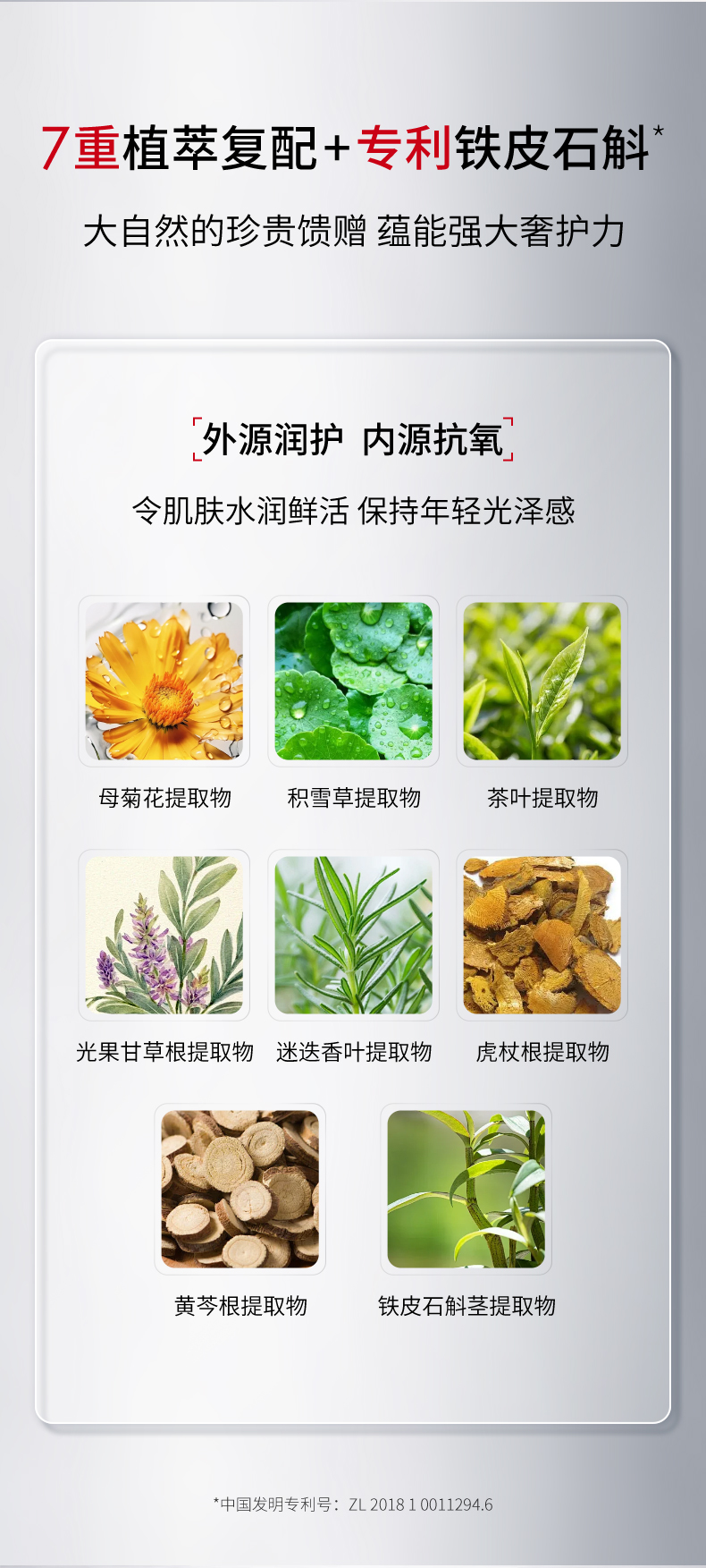 美白淡斑精華液241104_07.jpg
